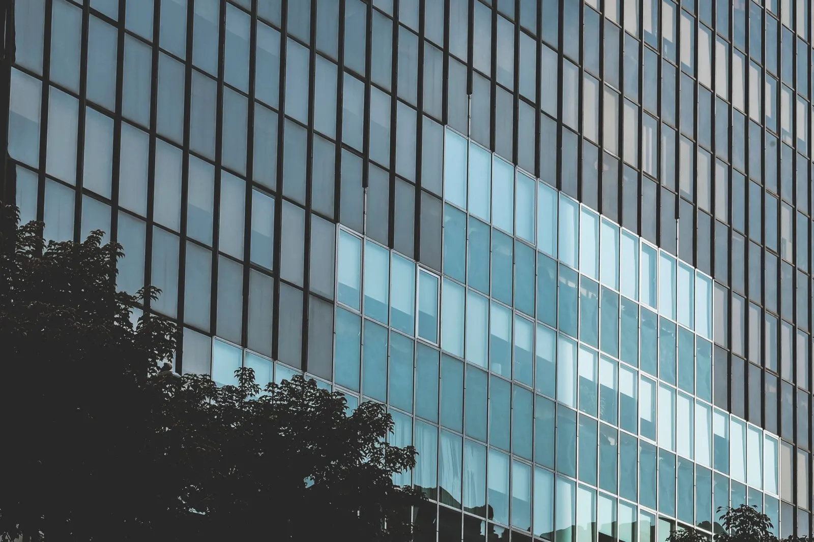 Glass and steel façade