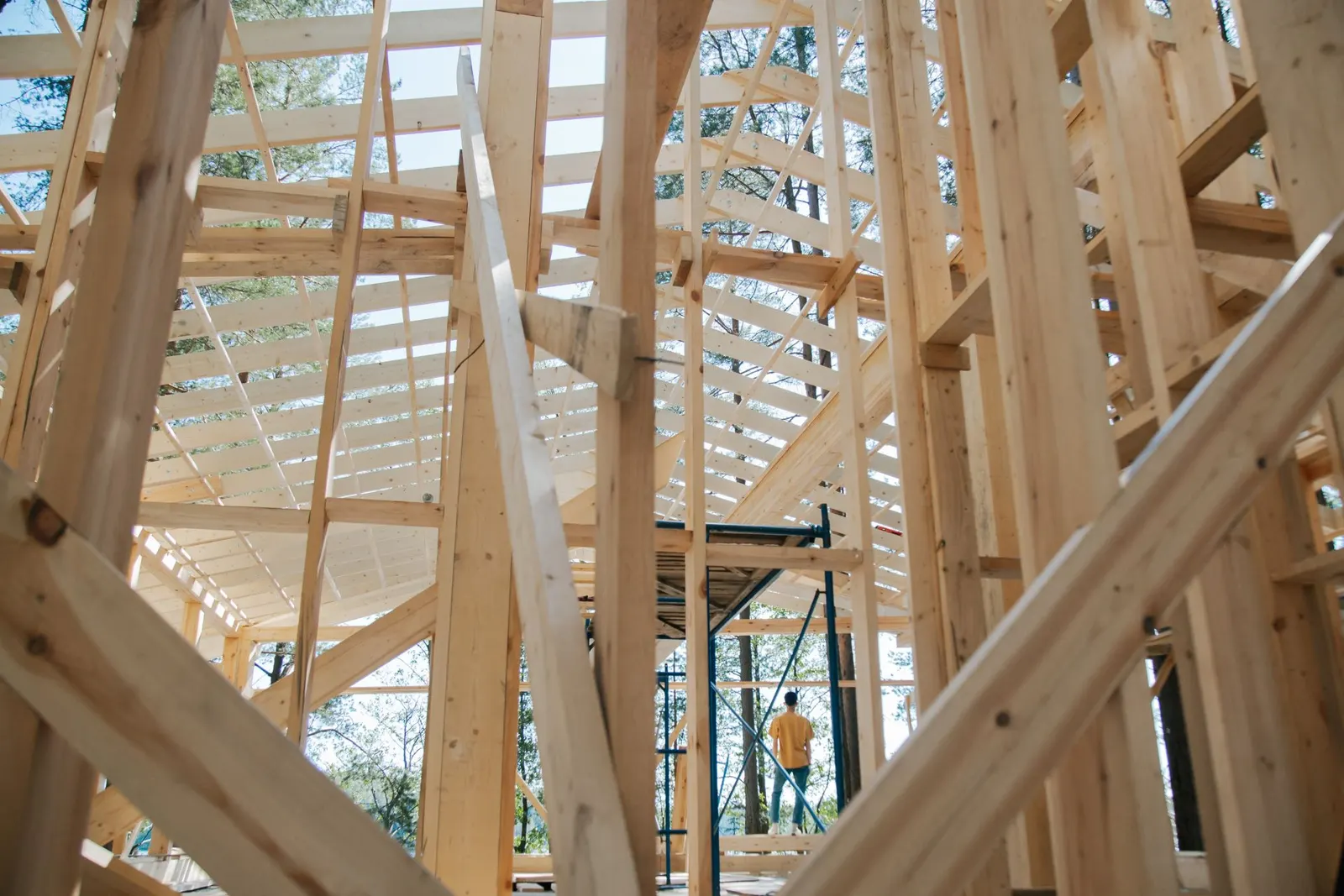 Timber frame structure seen from below